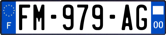 FM-979-AG
