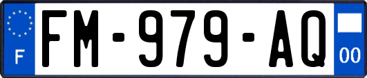 FM-979-AQ