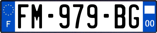 FM-979-BG