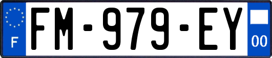 FM-979-EY