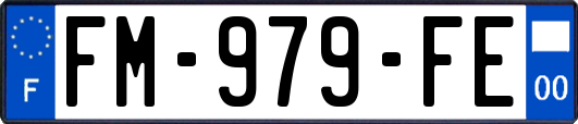FM-979-FE