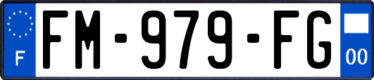 FM-979-FG