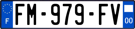 FM-979-FV