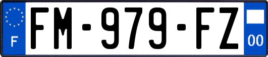 FM-979-FZ