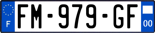 FM-979-GF