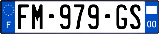FM-979-GS