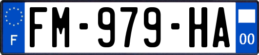 FM-979-HA
