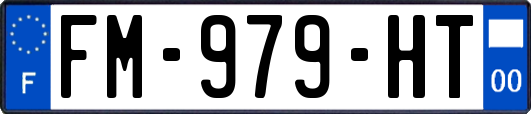 FM-979-HT