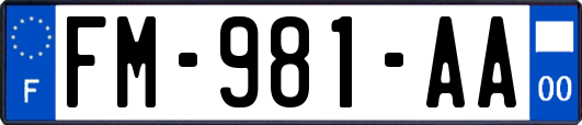 FM-981-AA