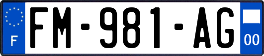 FM-981-AG