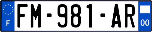 FM-981-AR