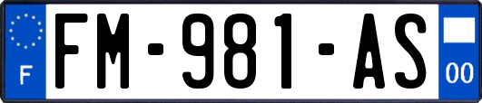 FM-981-AS