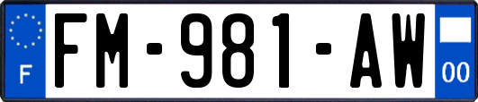 FM-981-AW