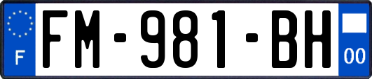 FM-981-BH