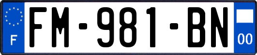 FM-981-BN