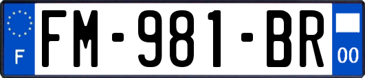 FM-981-BR