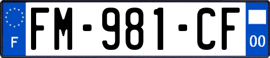 FM-981-CF