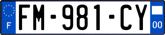 FM-981-CY