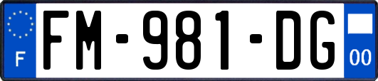 FM-981-DG