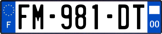 FM-981-DT