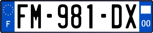 FM-981-DX