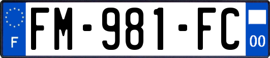 FM-981-FC