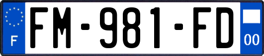 FM-981-FD