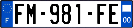 FM-981-FE