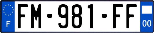 FM-981-FF