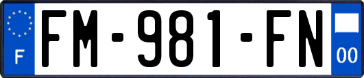 FM-981-FN