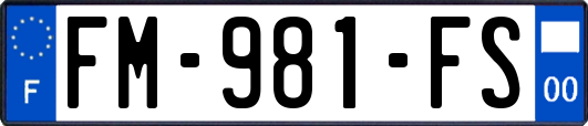 FM-981-FS