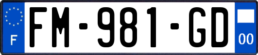 FM-981-GD