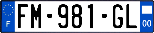 FM-981-GL