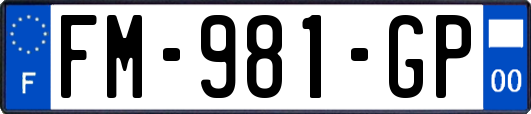 FM-981-GP