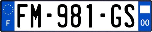 FM-981-GS