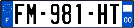 FM-981-HT