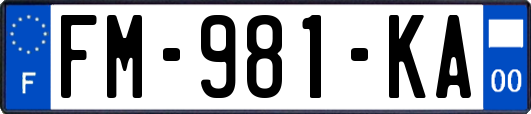 FM-981-KA