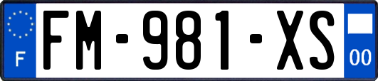 FM-981-XS