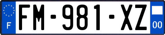 FM-981-XZ