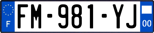 FM-981-YJ