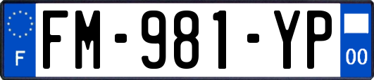 FM-981-YP