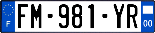 FM-981-YR
