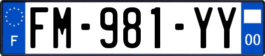 FM-981-YY