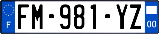FM-981-YZ