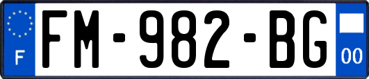 FM-982-BG