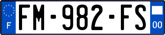 FM-982-FS