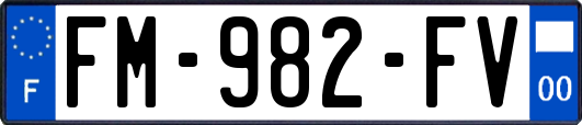 FM-982-FV