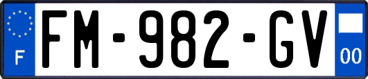 FM-982-GV