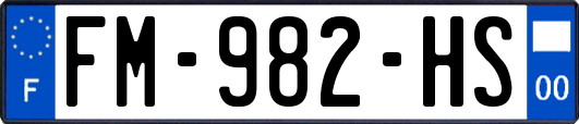 FM-982-HS