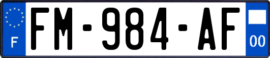 FM-984-AF